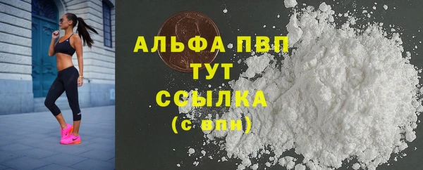 дживик Абаза