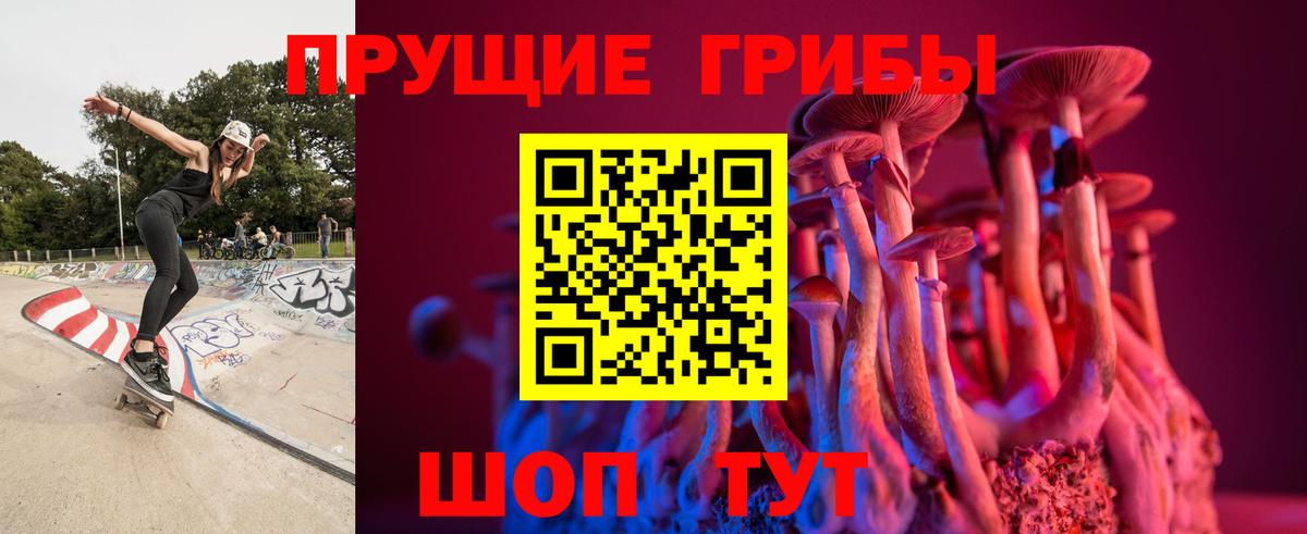 Галлюциногенные грибы Cubensis Копейск